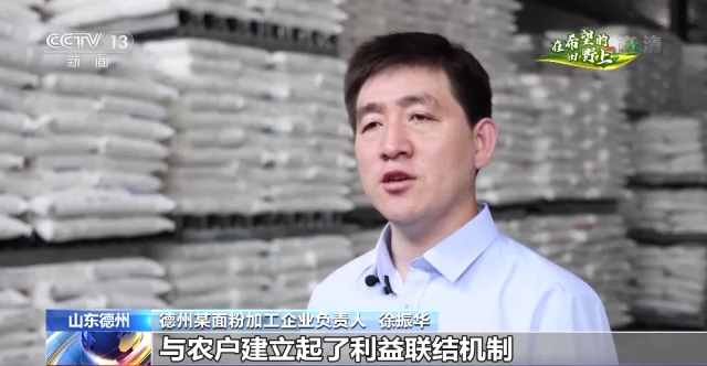 在希望的田野上·三夏時節丨抓緊搶收晚播小麥 確保顆粒歸倉