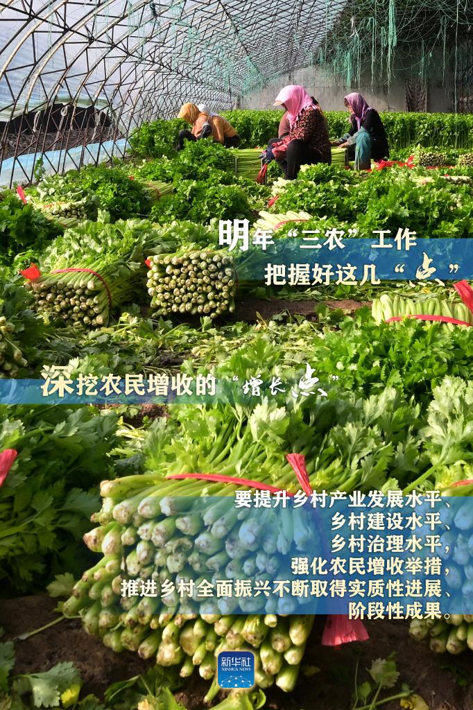 明年“三農”工作，這幾個“點”要把握好