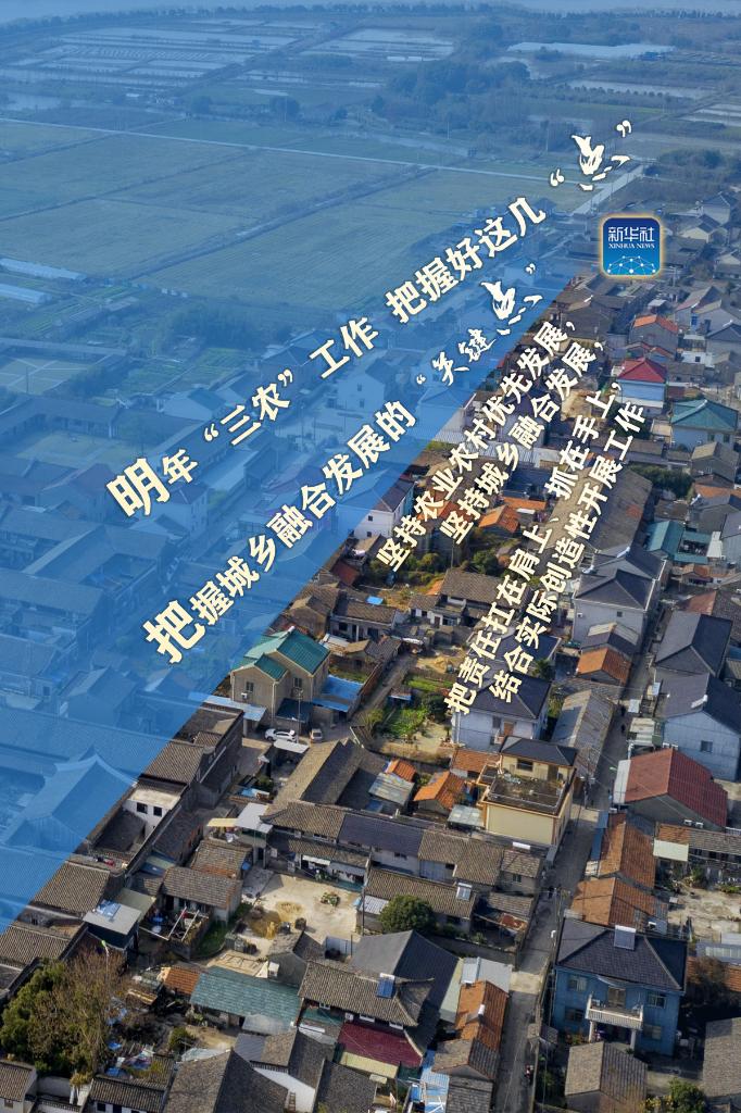 明年“三農”工作，這幾個“點”要把握好