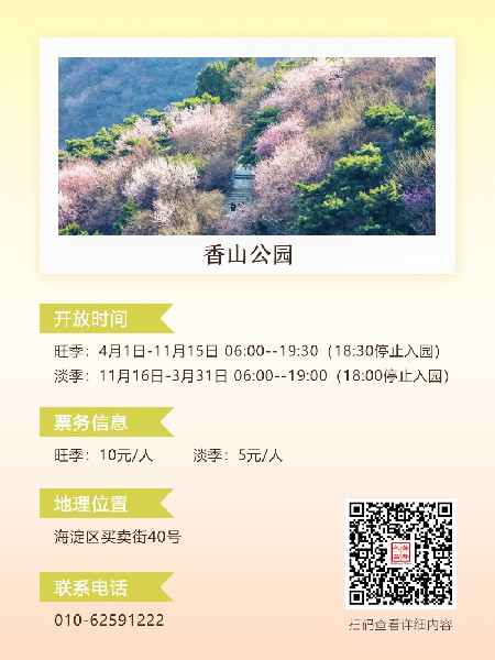 追花指南第六期！杏花雨 楊柳風(fēng) 北京最美的杏花在這里