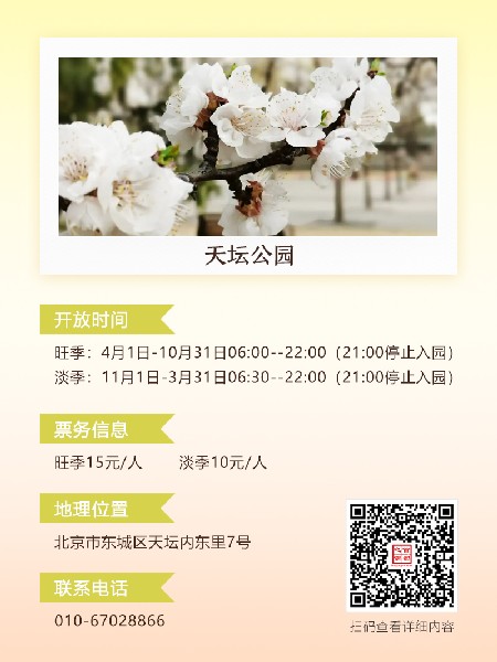 追花指南第六期！杏花雨 楊柳風(fēng) 北京最美的杏花在這里