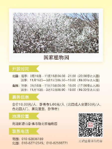 追花指南第六期！杏花雨 楊柳風(fēng) 北京最美的杏花在這里