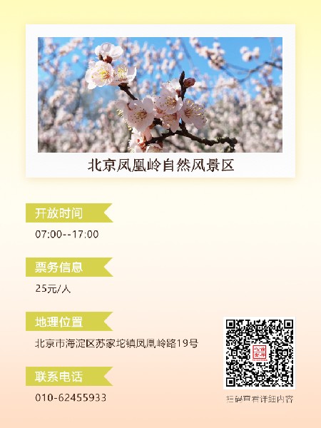 追花指南第六期！杏花雨 楊柳風(fēng) 北京最美的杏花在這里