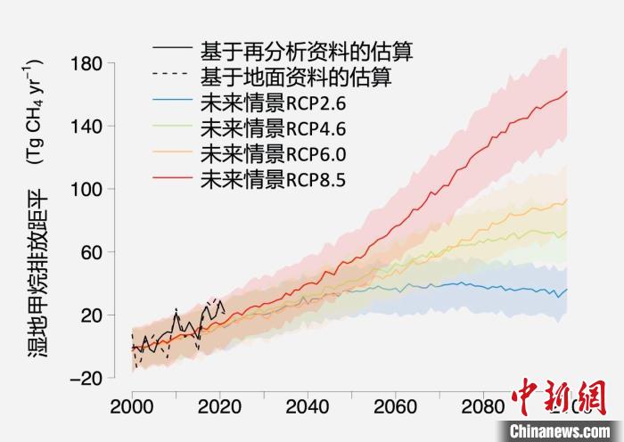 基于觀測(cè)的濕地甲烷排放變化與未來(lái)氣候變化情景下估算的對(duì)比。　中科院青藏高原所 供圖