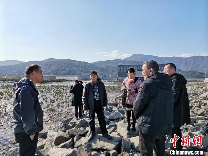 浙江海洋生態觀察：智慧大腦如何解鎖藍色發展密碼？