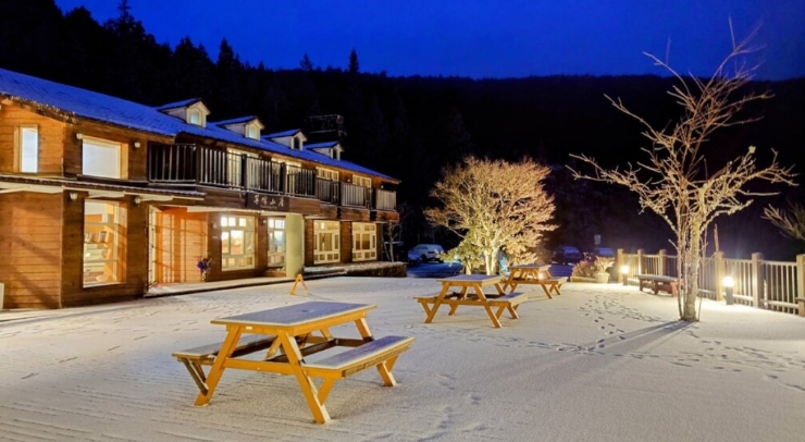 位在宜蘭縣內的太平山森林游樂區23日凌晨開始下雪，園區翠峰山屋前一片雪白。圖片來源：臺灣“中央社”。