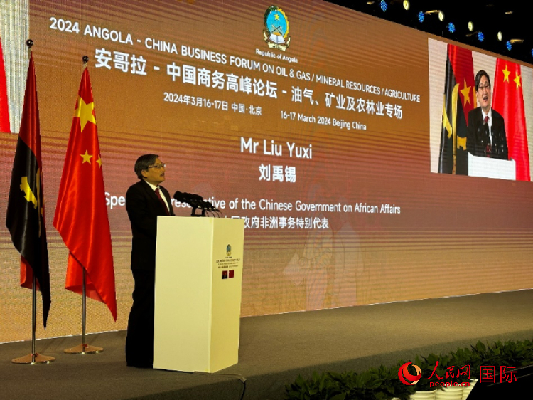 中國政府非洲事務特別代表劉禹錫。人民網(wǎng)記者 張榮攝
