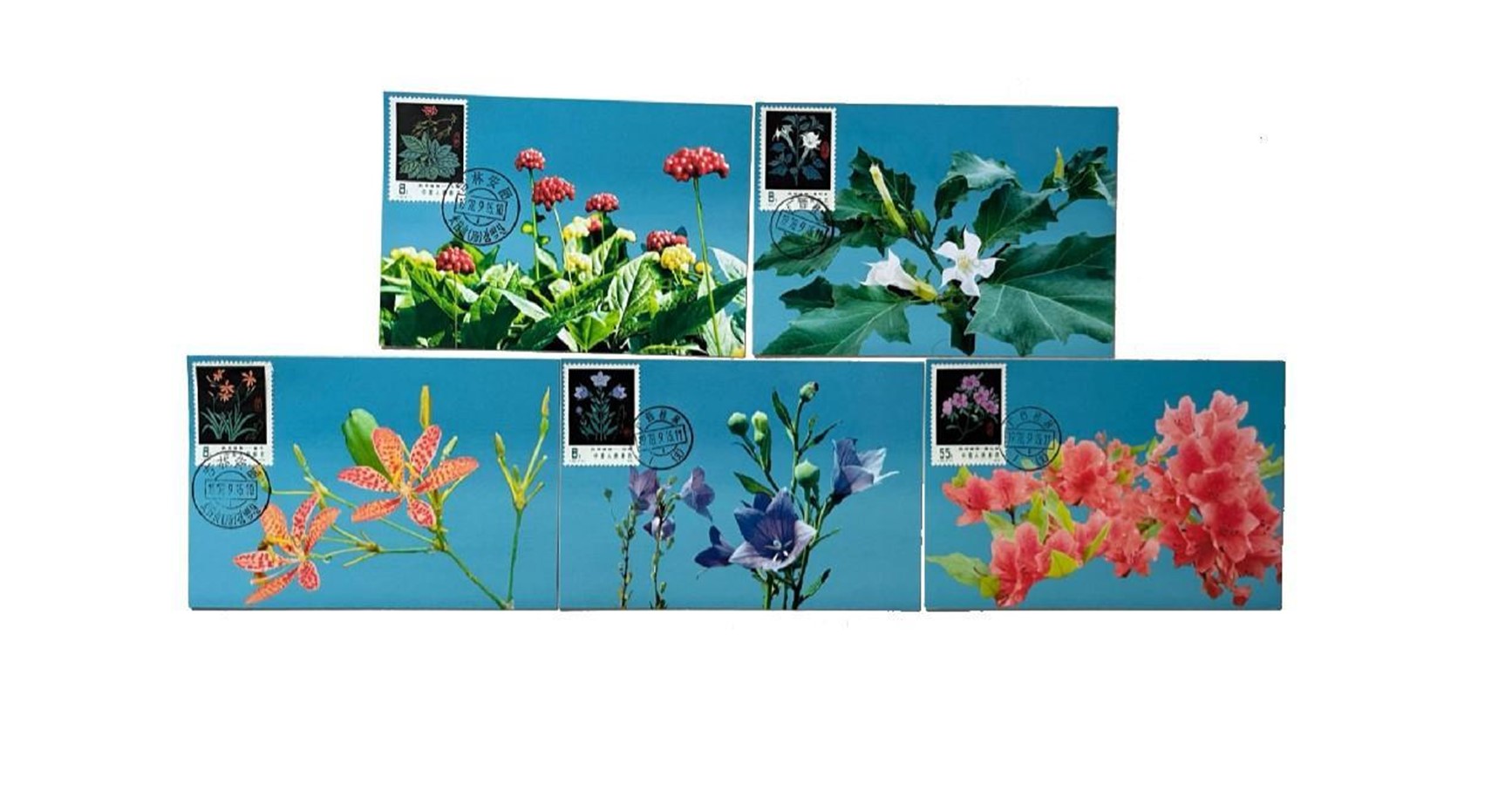 首套藥用植物極限片。第七屆阿聯(lián)酋集郵展主辦方供圖