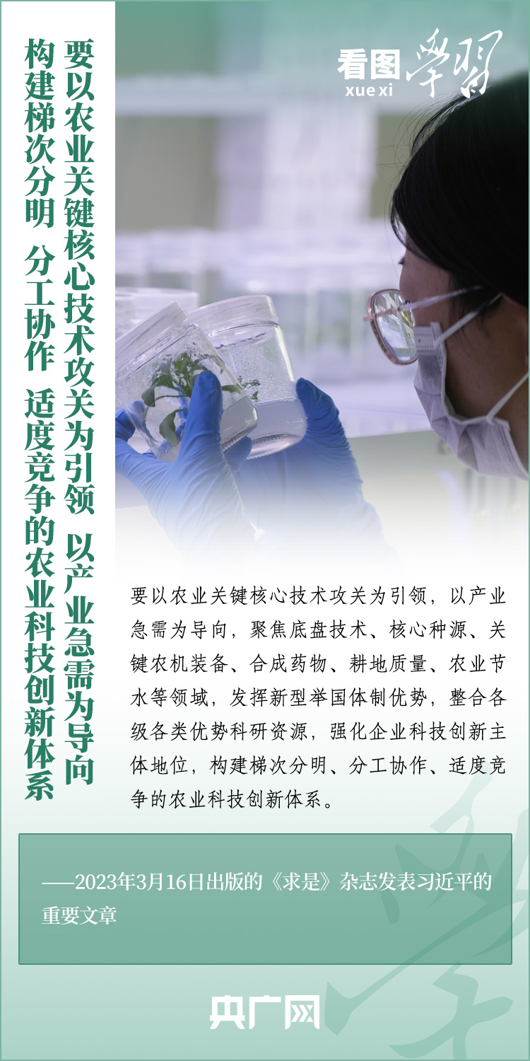 看圖學(xué)習(xí)丨推廣良田、良種、良法、良機(jī) 給農(nóng)業(yè)現(xiàn)代化插上科技的翅膀
