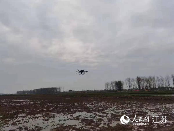 勝利圩高標(biāo)準(zhǔn)農(nóng)田進(jìn)行無人機(jī)水稻播種。陽(yáng)江鎮(zhèn)供圖