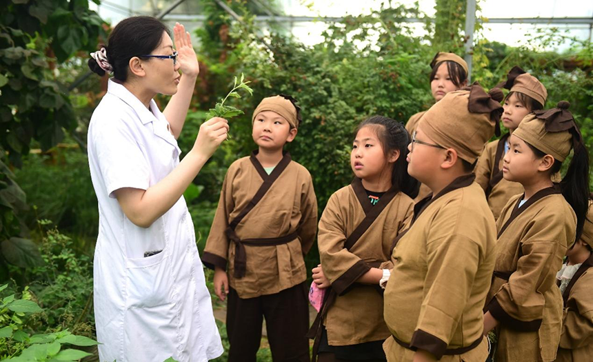 參加活動的孩子聆聽滄州市人民醫院國醫館中醫對中藥材的講解。 傅新春攝