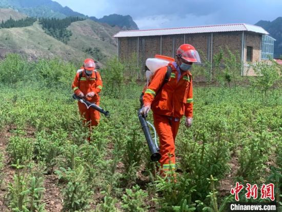 圖為觀摩會現(xiàn)場背負式電動噴霧演練。　李江寧　攝 　　