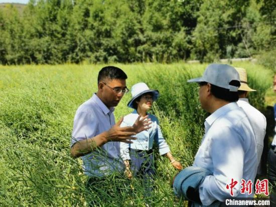圖為九三學社青海省委主委杜德志(左一)在基層調研。受訪者供圖