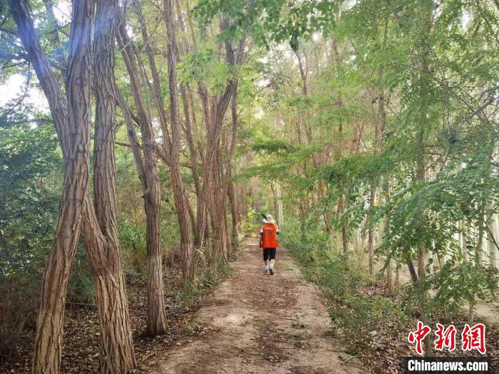 戈壁灘上的護林員：以前風吹睜不開眼，現在滿眼皆綠色