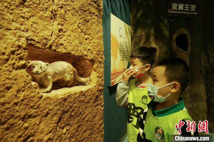 圖為小朋友在青海西寧湟水國家濕地公園科普館內參觀學習?！●R銘言 攝