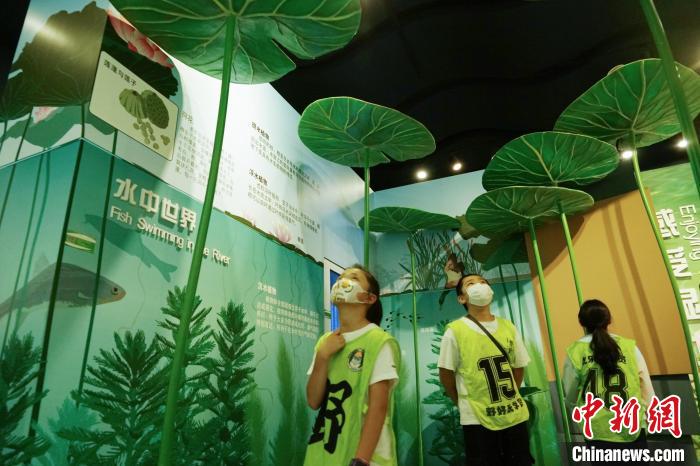 圖為小朋友在青海西寧湟水國家濕地公園科普館內參觀學習?！●R銘言 攝