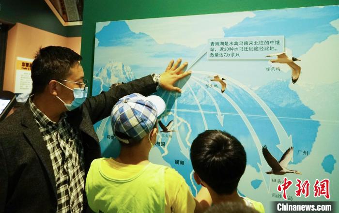 圖為小朋友在青海西寧湟水國家濕地公園科普館內參觀學習?！●R銘言 攝