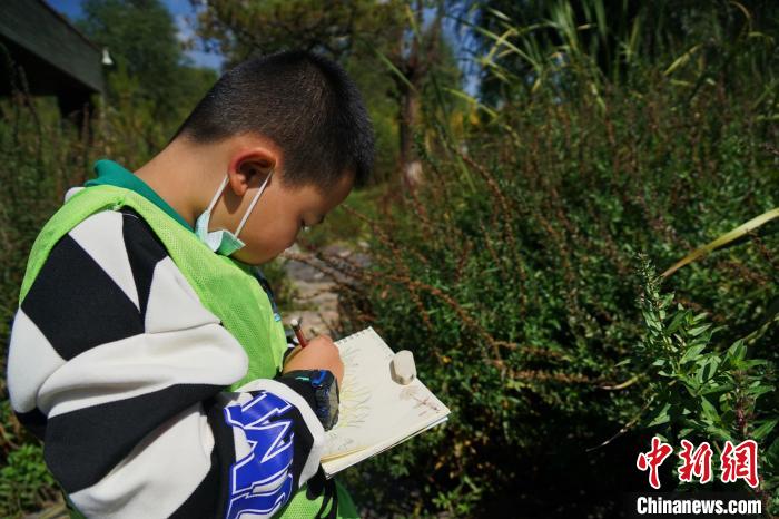 圖為小朋友在青海西寧湟水國家濕地公園內認識植物并進行繪畫。　馬銘言 攝
