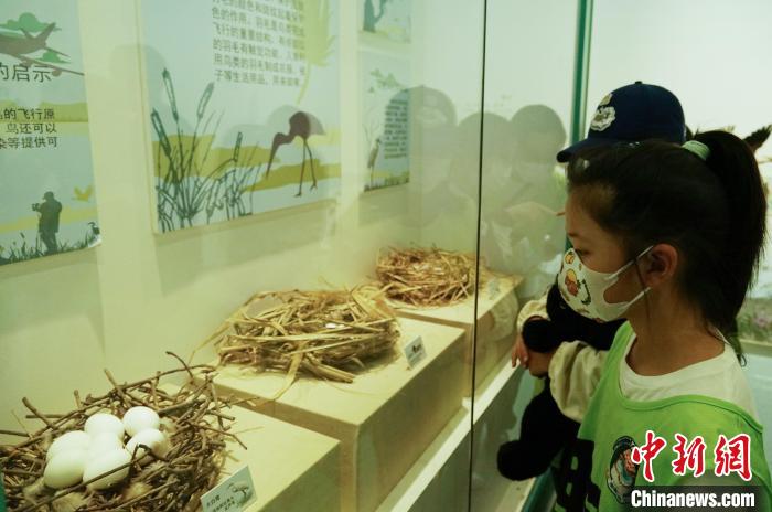 圖為小朋友在青海西寧湟水國家濕地公園科普館內參觀學習?！●R銘言 攝