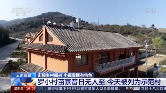 種蘑菇、養駱駝...。。特色產業助力鄉村振興走新路