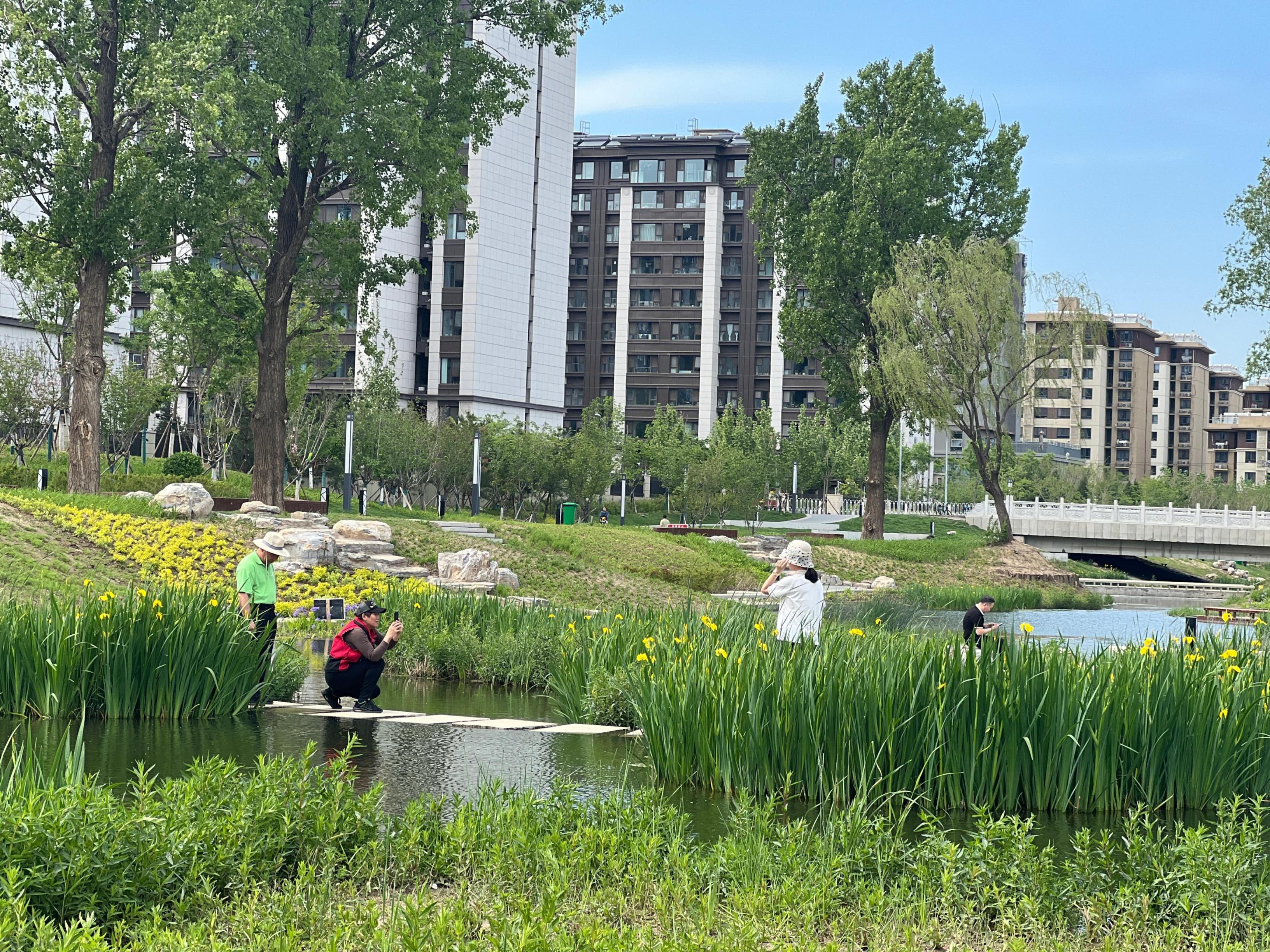 五一渠生態(tài)濱河公園內(nèi)，市民正在拍照留念。人民網(wǎng) 歐陽易佳攝