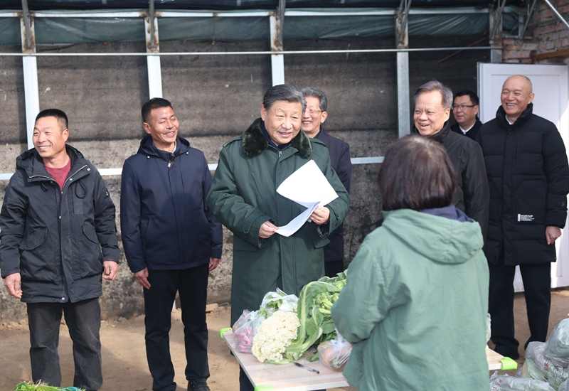 2024年2月1日，習(xí)近平總書記在天津市西青區(qū)辛口鎮(zhèn)第六埠村，走進(jìn)大棚同菜農(nóng)親切交流。
