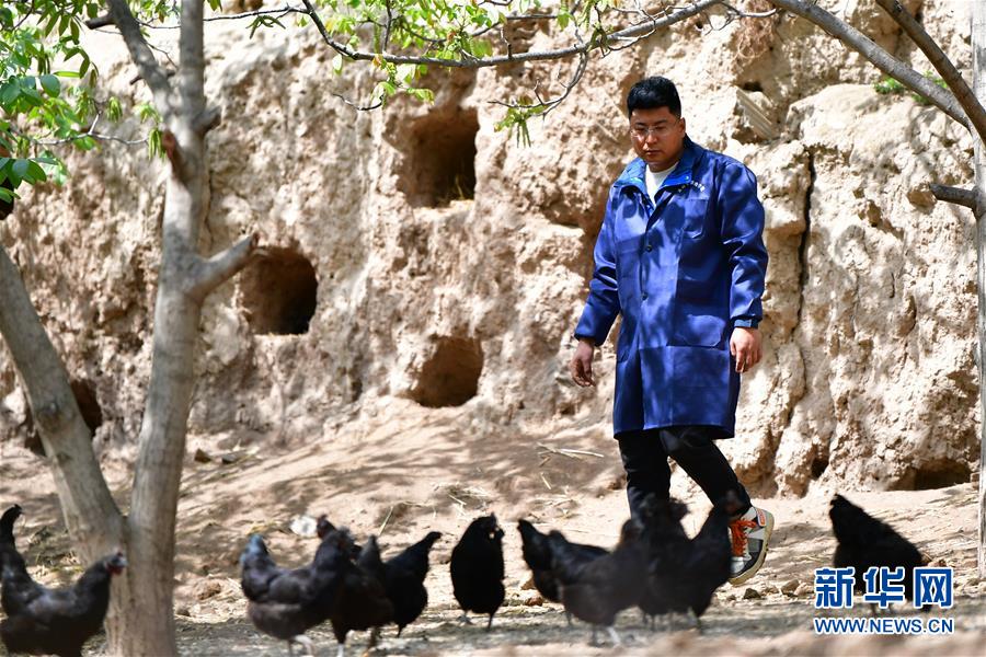 （脫貧攻堅·圖片故事）（5）“90后新農人”的返鄉致富路