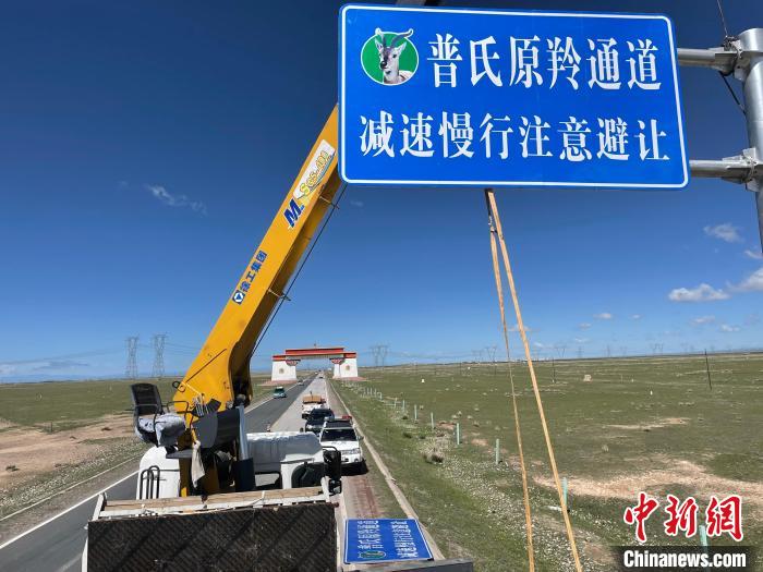 圖為青海省海北州剛察縣設(shè)立的普氏原羚通道警示牌。　青海省海北州人民檢察院供圖