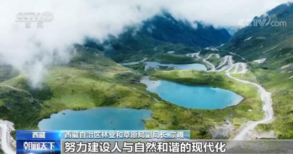 我國濕地科學(xué)研究將邁出重要一步 | 守護高原生靈草木 雅尼風物氣象更新
