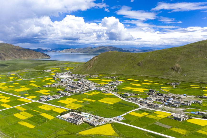 航拍道布龍村，依山傍水，阡陌縱橫。